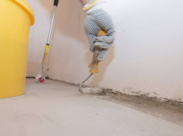 Real Estate Pest Inspections in Grover, WY